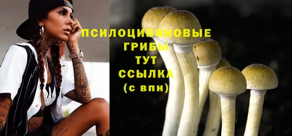 твердый Алексин