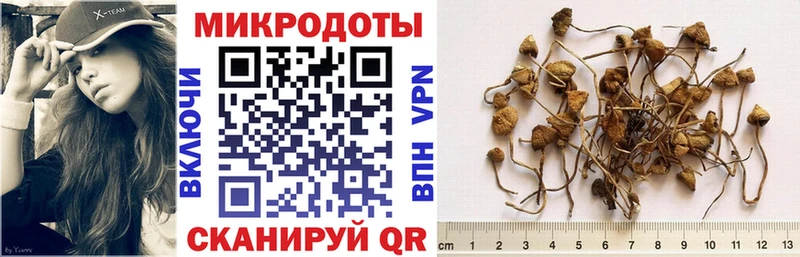 Псилоцибиновые грибы прущие грибы купить Катав-Ивановск